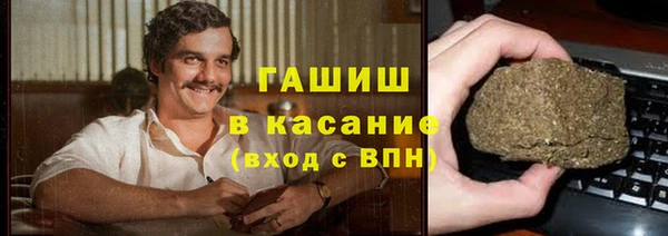 мдпв Елабуга