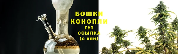 прущий лед Ельня