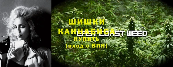 прущий лед Ельня