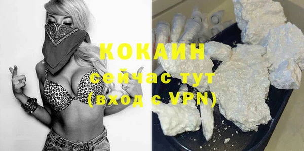 прущий лед Ельня