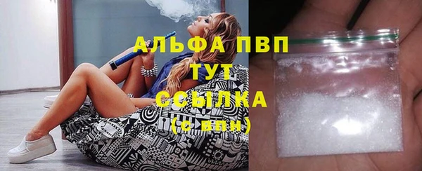 мдпв Елабуга
