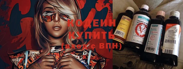 мдпв Елабуга