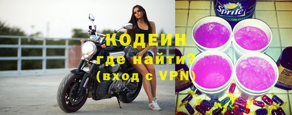 мдпв Елабуга