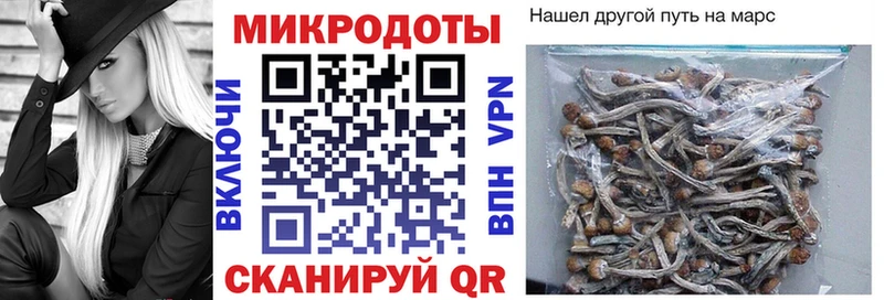 Купить закладки Заволжск Галлюциногенные грибы Psilocybine cubensis